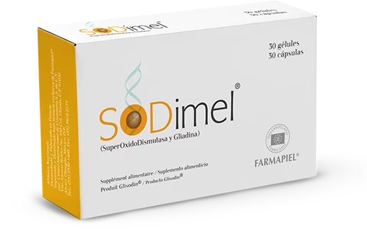 FAR- SODIMEL SUPLEMENTO